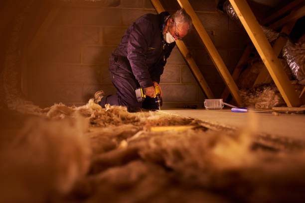 Best Insulation Maintenance and Repair in South Oroville, CA